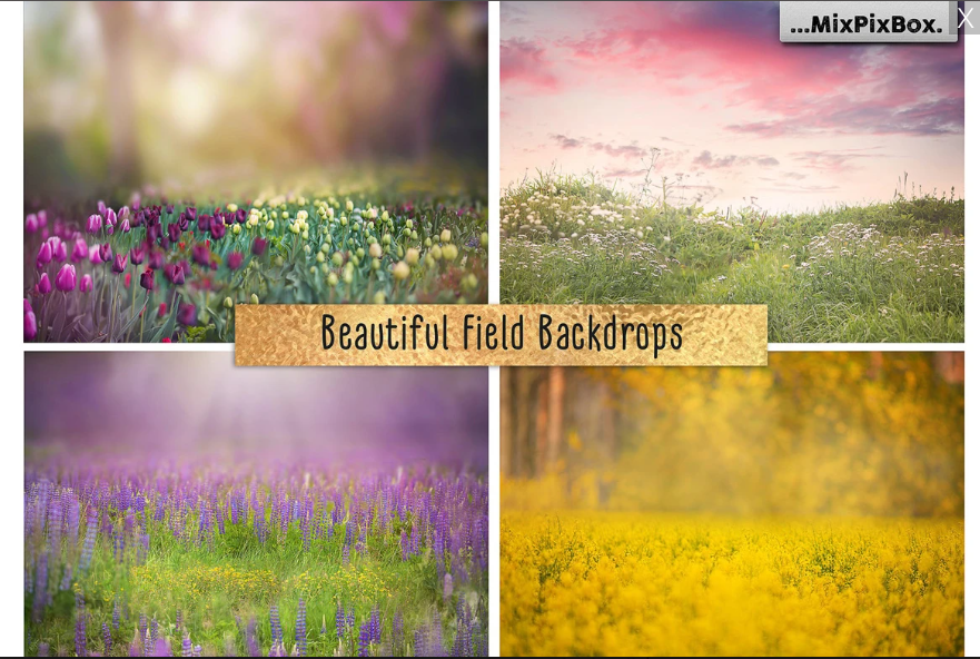 2020 Photo Overlay Bundle: Beach Backgrounds, Dirt Explosion, Stadium Light, Animal Overlays, Ribbon, Floral + more!