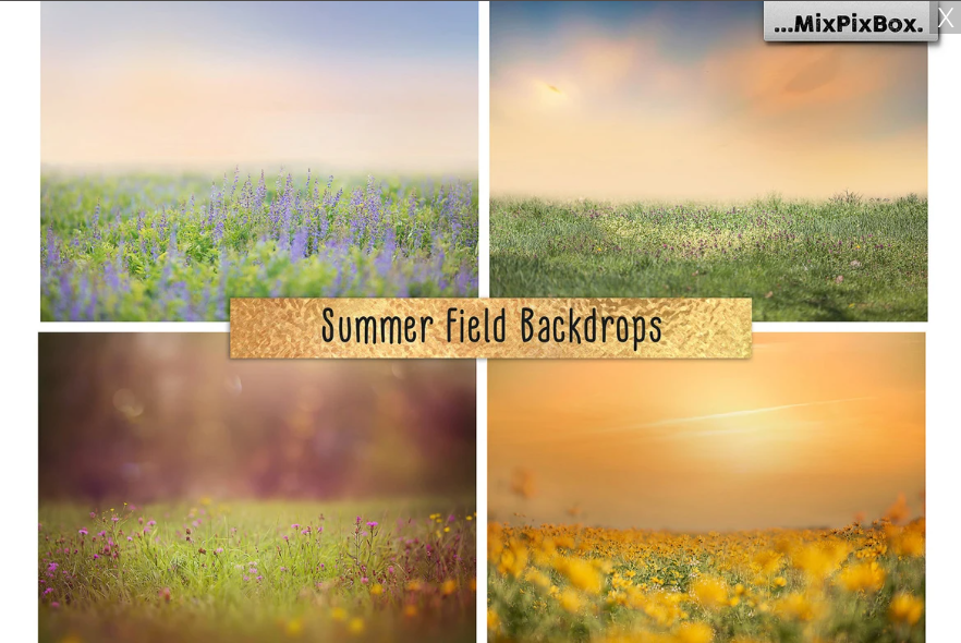 2020 Photo Overlay Bundle: Beach Backgrounds, Dirt Explosion, Stadium Light, Animal Overlays, Ribbon, Floral + more!