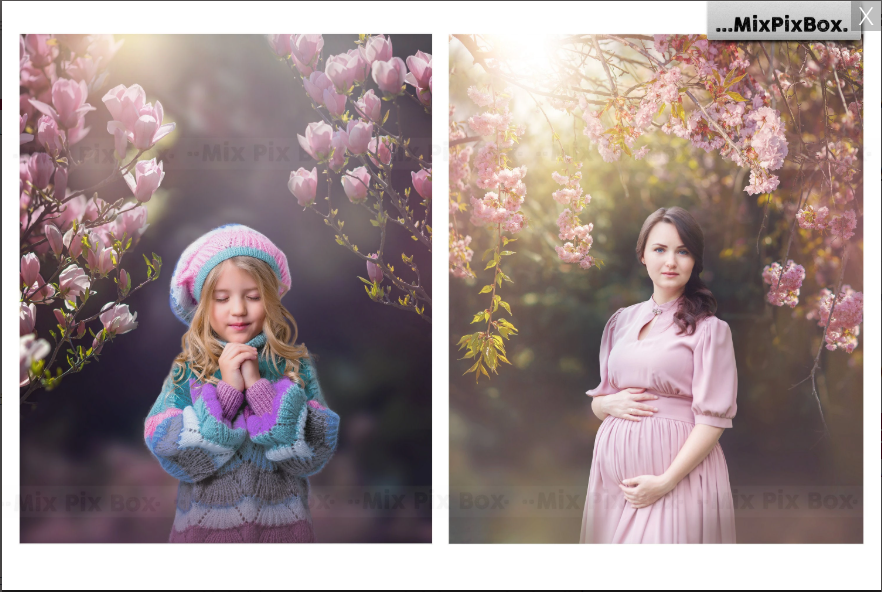 2020 Photo Overlay Bundle: Beach Backgrounds, Dirt Explosion, Stadium Light, Animal Overlays, Ribbon, Floral + more!