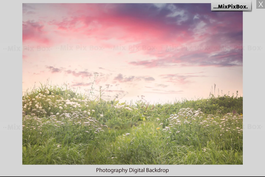 2020 Photo Overlay Bundle: Beach Backgrounds, Dirt Explosion, Stadium Light, Animal Overlays, Ribbon, Floral + more!