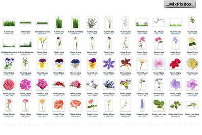 1700+ Photo Overlays, Long Exposure, Glitter, Number Balloons, Digital Papers + More!