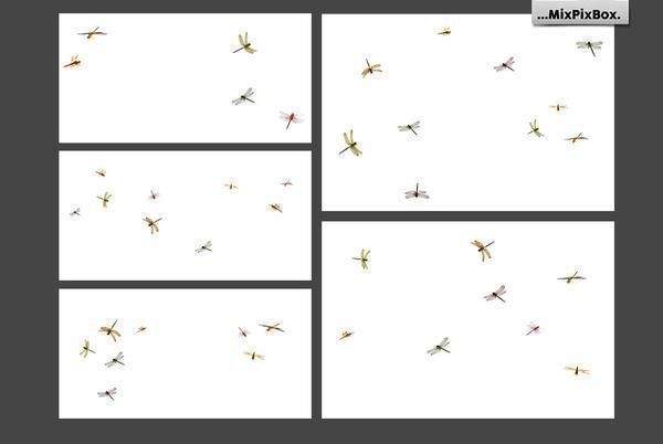 1700+ Photo Overlays, Long Exposure, Glitter, Number Balloons, Digital Papers + More!