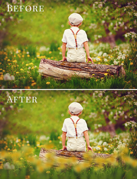 Spring Overlay Bundle: Bunnies, Magnolia, Butterflies, Lilacs, trees + more!