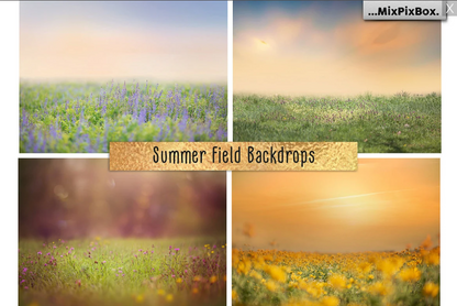 2020 Photo Overlay Bundle: Beach Backgrounds, Dirt Explosion, Stadium Light, Animal Overlays, Ribbon, Floral + more!