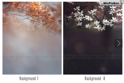 2020 Photo Overlay Bundle: Beach Backgrounds, Dirt Explosion, Stadium Light, Animal Overlays, Ribbon, Floral + more!