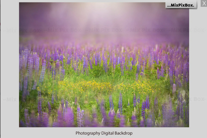 2020 Photo Overlay Bundle: Beach Backgrounds, Dirt Explosion, Stadium Light, Animal Overlays, Ribbon, Floral + more!