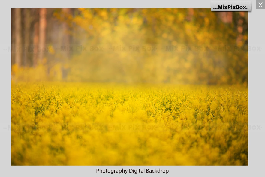2020 Photo Overlay Bundle: Beach Backgrounds, Dirt Explosion, Stadium Light, Animal Overlays, Ribbon, Floral + more!