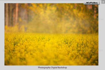 2020 Photo Overlay Bundle: Beach Backgrounds, Dirt Explosion, Stadium Light, Animal Overlays, Ribbon, Floral + more!