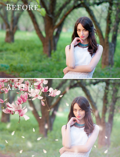 Spring Overlay Bundle: Bunnies, Magnolia, Butterflies, Lilacs, trees + more!