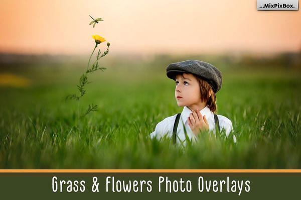 1700+ Photo Overlays, Long Exposure, Glitter, Number Balloons, Digital Papers + More!