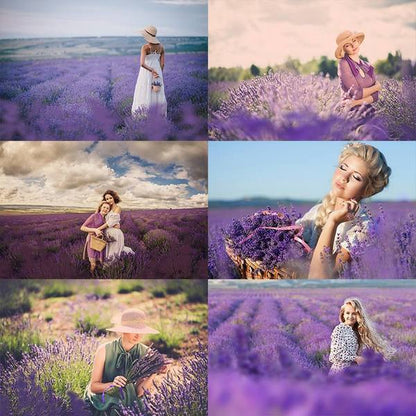 Over 800 Photoshop Actions, Overlays, Templates & More from Urban Bloom Actions